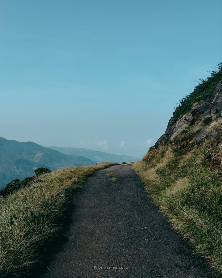 පාර දිගේ 😮