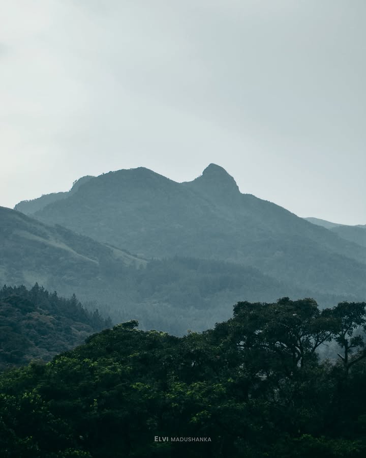 කැම්ප් කරපු තැනට පෙන ලස්සන කදු යාය <3