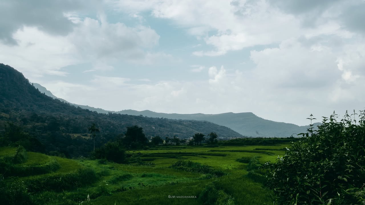 වල්පොලමුල්ලේ කැම්ප් කරන්න යද්දී හම්බෙන ලස්සන වෙල