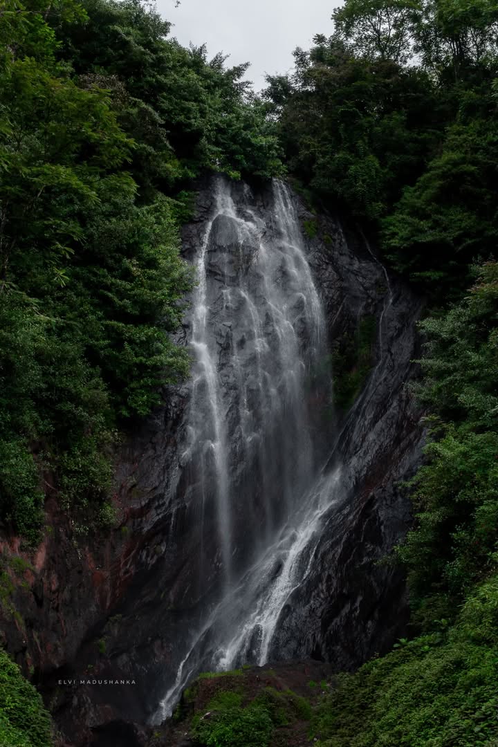 මෝහිනී ඇල්ල