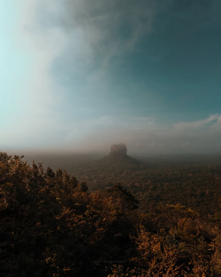 වහින කාලේට සීගිරියේ ගියොත් ඔයාලට වතුර මල් ටික ලස්සනට බලාගන්න පුළුවන්