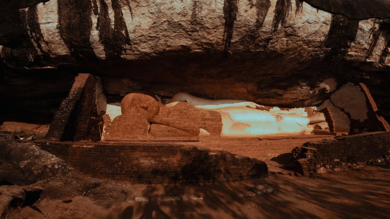 වහින කාලේට සීගිරියේ ගියොත් ඔයාලට වතුර මල් ටික ලස්සනට බලාගන්න පුළුවන්