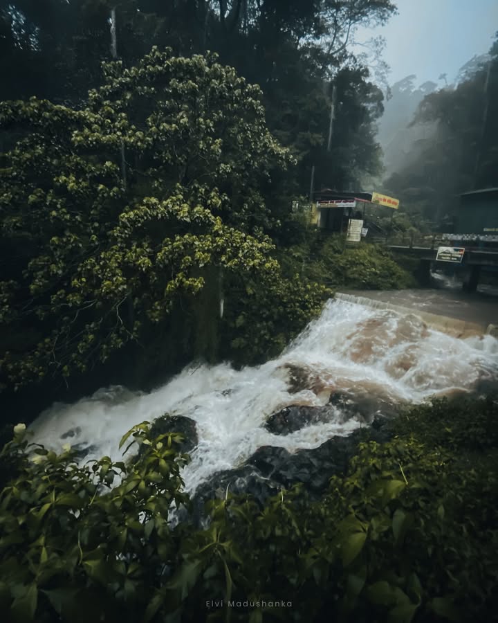 වහිද්දි පිරිලා ඉතිරිලා යන සීත ගගුල 😥