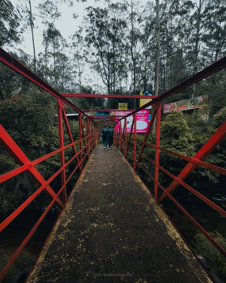 නල්ලතන්නියෙන් හෙමින් හෙමින් උදට යන ගමන් 🥰