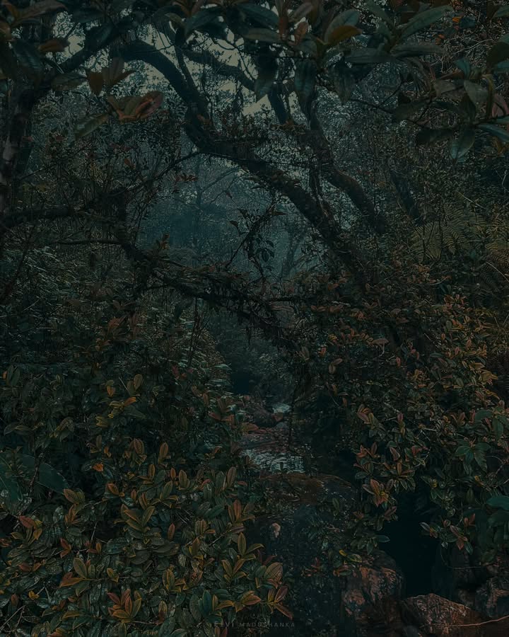 <3