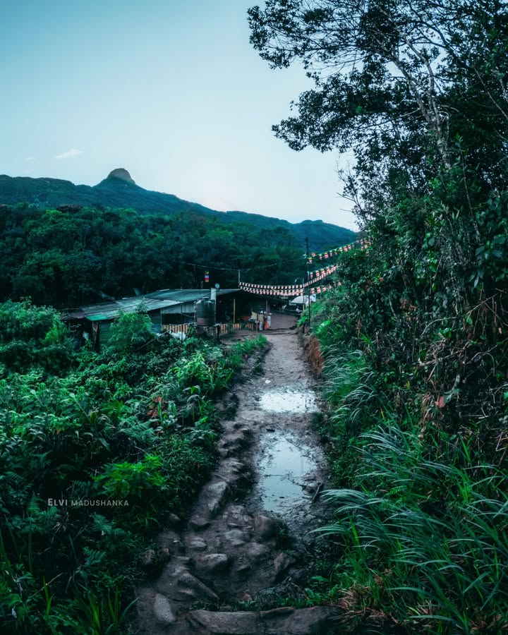 රත්නපුර පාරයි, කුරුවිට එරන්ත පාරයි හම්බෙන තැන.