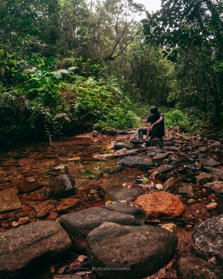සිත ගගුලට යද්දී ගලක් උඩ තියලා කැමරාව මගේ පික් එකකුත් බෝම අමාරුවෙන් ගහගත්තා