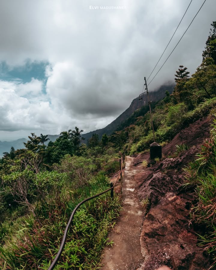වර්නගලට බැහැලා යන ගමන්