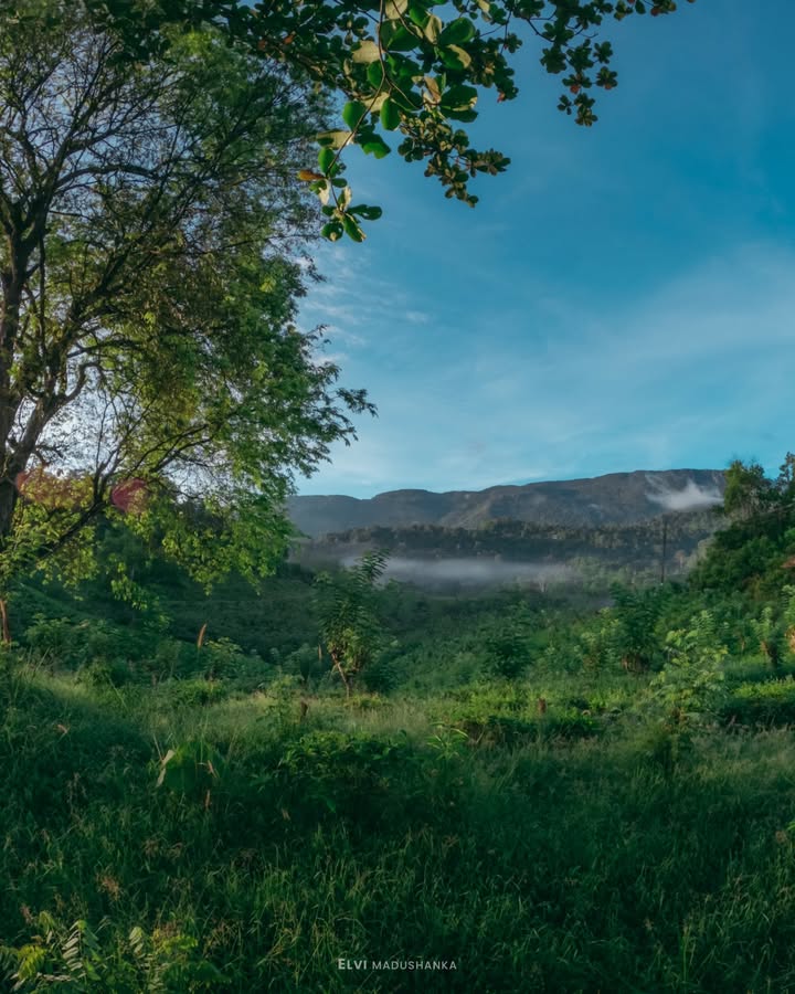 සුරියකන්දට ඇතුල් වෙන හරියේ
