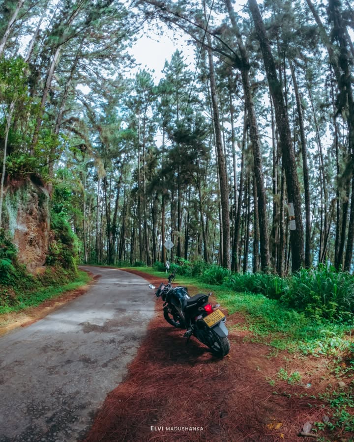 සිංහරාජ වනාන්තරය මැද්දෙන් තියෙන පාරවල්