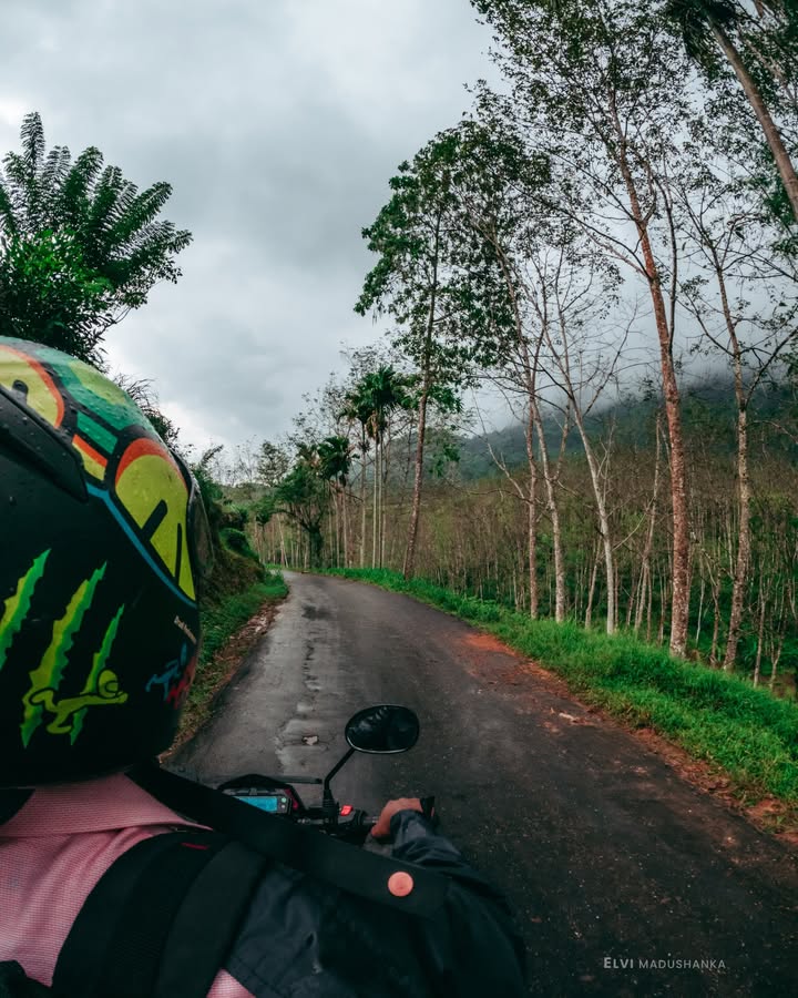රබර් ගස් යායවල් මැද්දෙන් බලංගොඩට