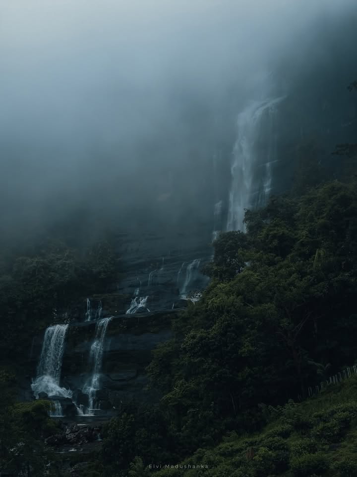 මේ දවස් වල රත්නපුර කියන්නේ දිව්යලෝකයක්, පාළුවට ගියපු ඒ පරිසරයයි මීදුමයි අපි හැමෝම හොයන
