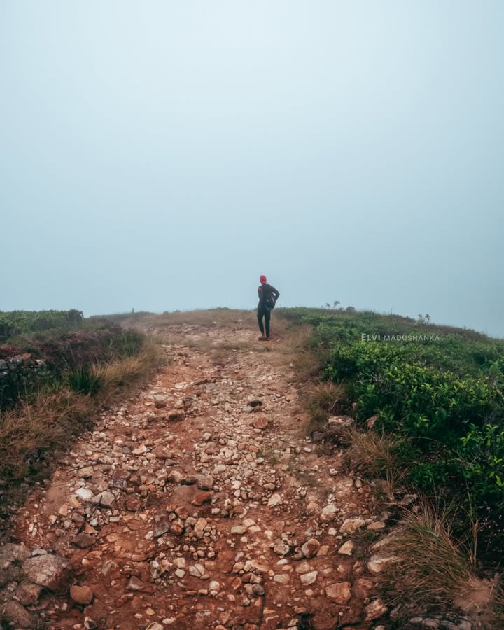 මීදුමෙන් වැහුන යකාගේ පඩිපෙළ
