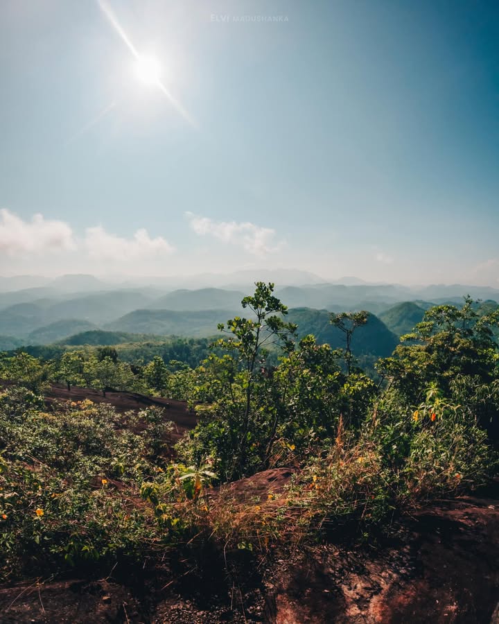 360 view එක