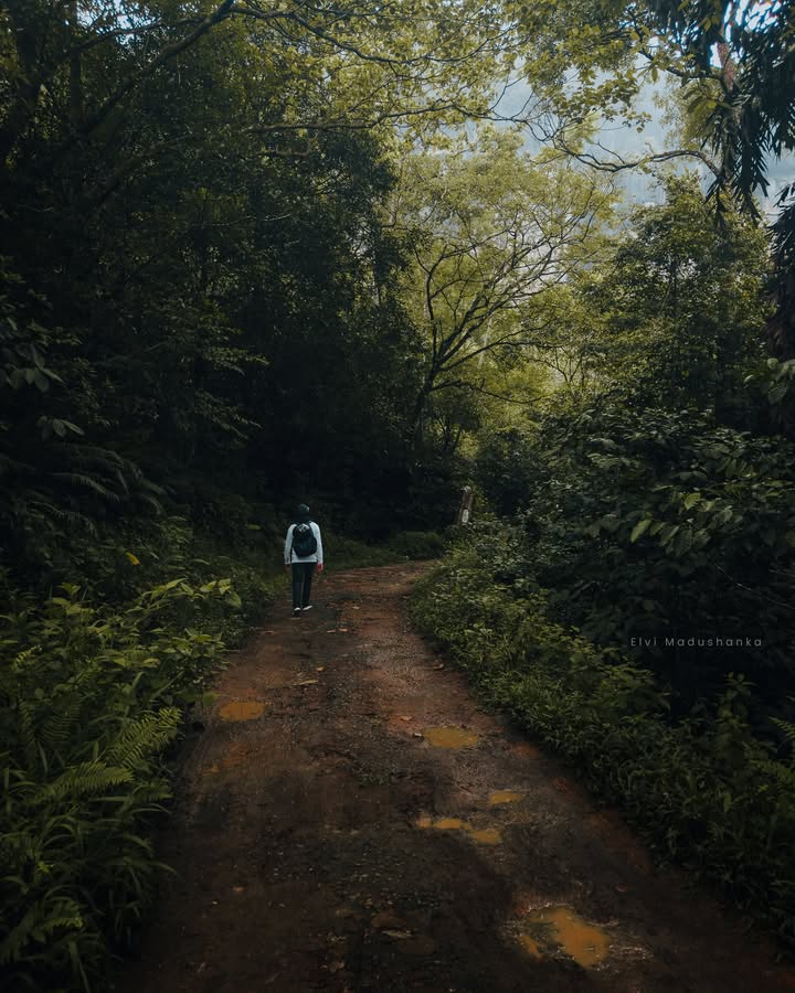 වේවැල්තලාව ගම්මානයට යන ගමන්