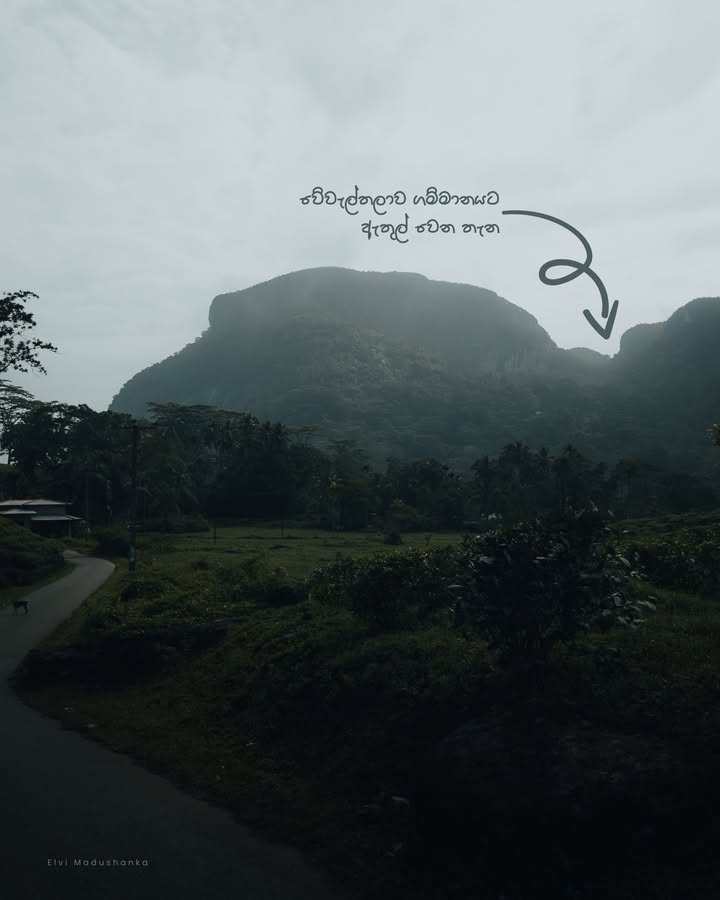 පොල්පිටියට යන අතරතුර