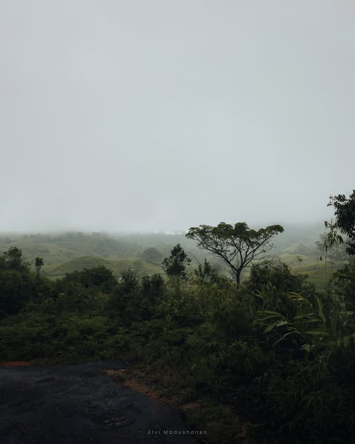 වේවැල්තලාව ගම්මානයට ඇතුළු වෙන තැන