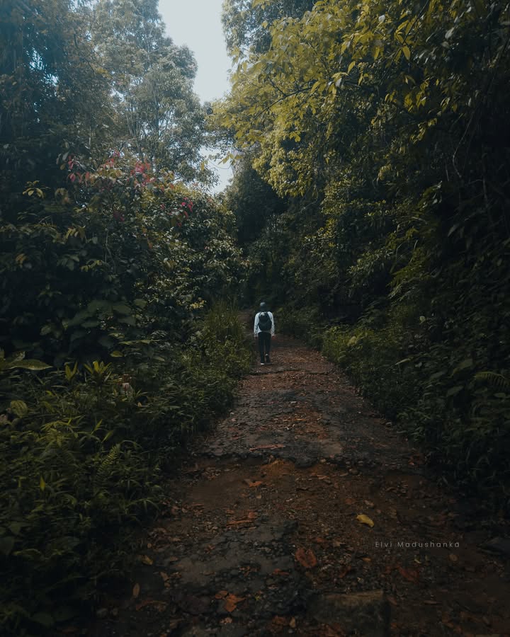 වේවැල්තලාව ගම්මානයට යන ගමන්