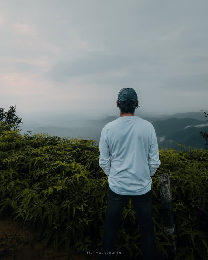 හල්ගොල්ල Tea Estate view point එක