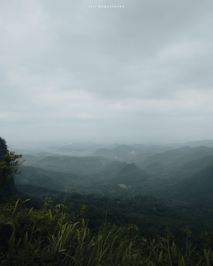 හල්ගොල්ල Tea Estate එකේ view point එකේ view එක, අපි යන දවසේ වැස්ස නිසා අපිට හරියට view එකක් බලාගන්න හම්බුනේ නැ